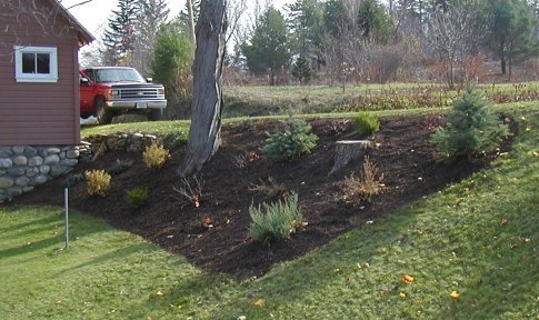 Landscaping Job